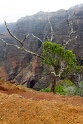 Kauai - 014